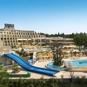 book here